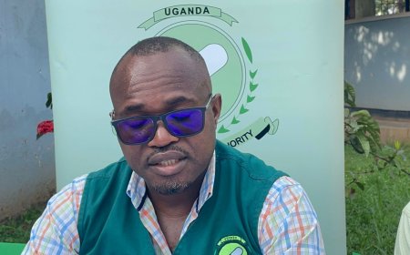 Nda Clamps Down On Illegal Drug Outlets In Northern Region, Seizes Medicines Worth 37 Million Lira City