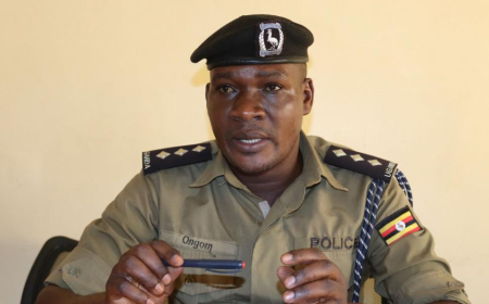Police officer stabbed to death by boyfriend in Gulu City