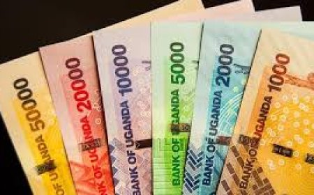 Government Dismisses Viral Claims of Uganda Currency Change