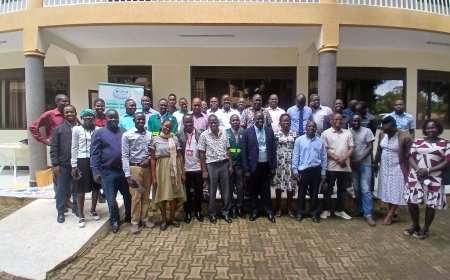 Northern Uganda: NEMA moves to tighten chemical controls amid Gulu asbestos alarms and impending oil era