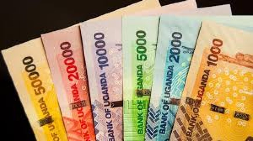 Government Dismisses Viral Claims of Uganda Currency Change