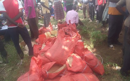 Otuke district Local Government Rolls Out 33,976 Free Government Hand Hoes to Farmers