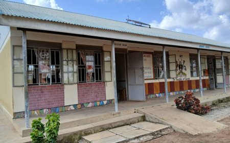Barlonyo Agro Technical Institute Records Academic Progress and Innovation