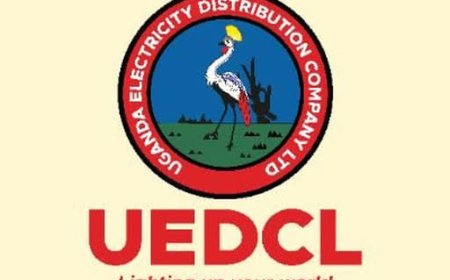 MP Leo Elem Urges Urgent Power in some  areas   in Alebtong, Slams UEDCL Over Blackouts