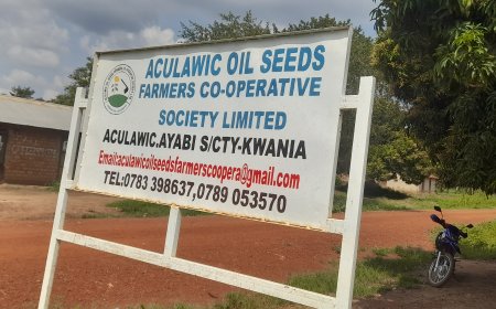 Government Calls for Unity as Corruption Undermines Cooperatives.