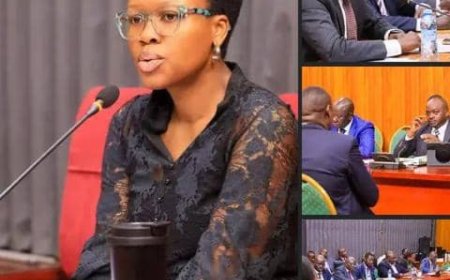 Committee on Govt Assurance Pressures Works Ministry to Deliver on Bridge Pledges