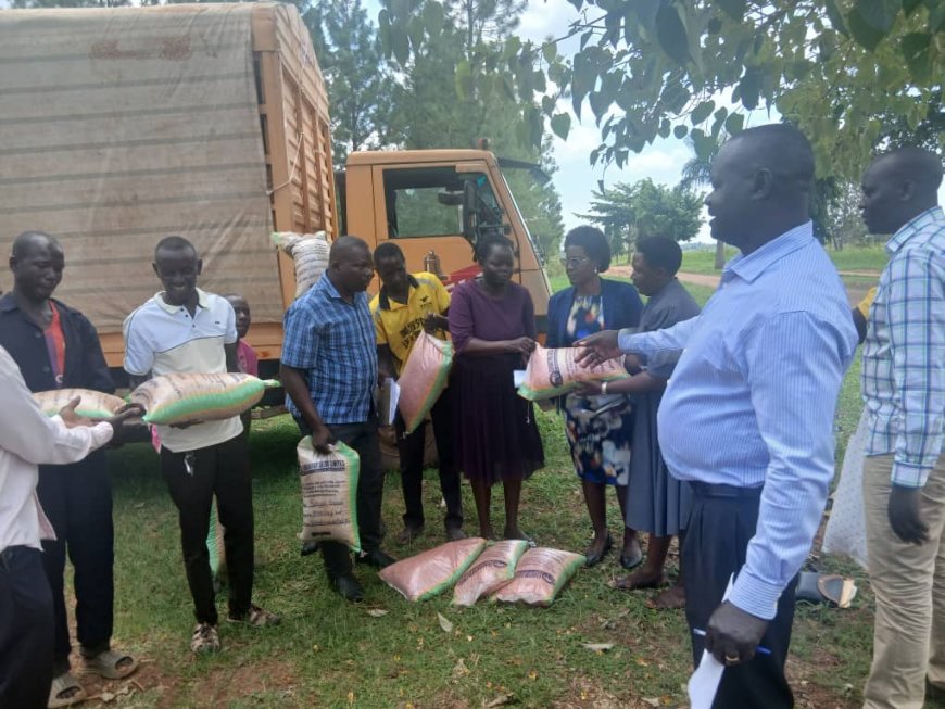 OWC gives 15 tonnes of maize & soybean seed to Amolatar farmers