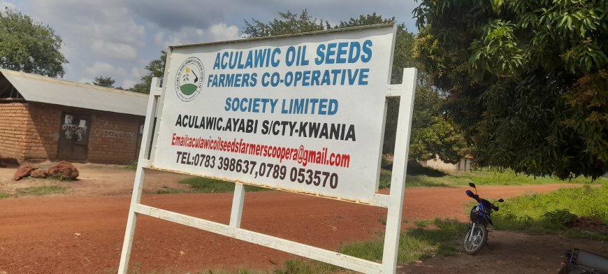 Government Calls for Unity as Corruption Undermines Cooperatives.
