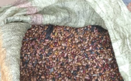 Police Hunt for Suspect Accused of Mixing Beans With Used Engine Oil in Lira City.