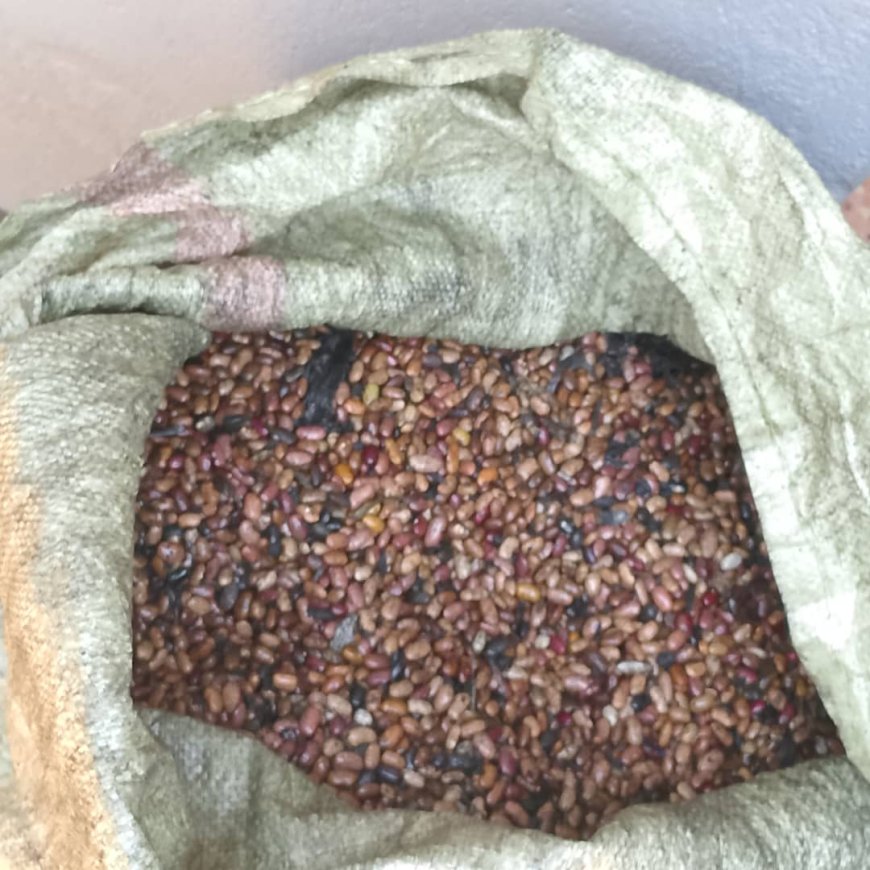 Police Hunt for Suspect Accused of Mixing Beans With Used Engine Oil in Lira City.